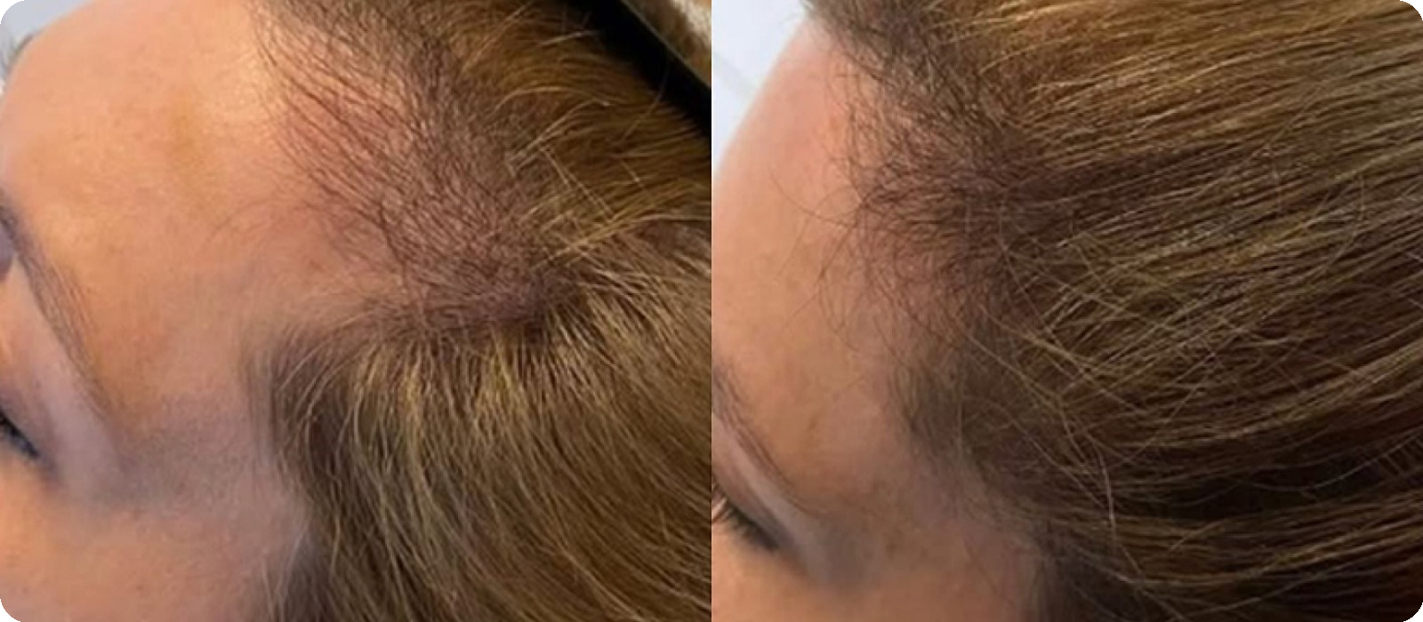 WhatsAppImage2026-01-23at8.40.15PM(6)_1600x700_radius32